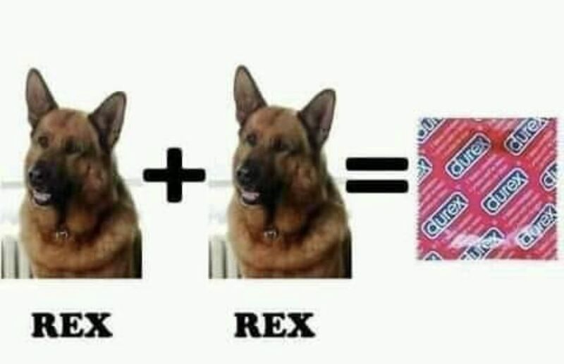 Du Rex