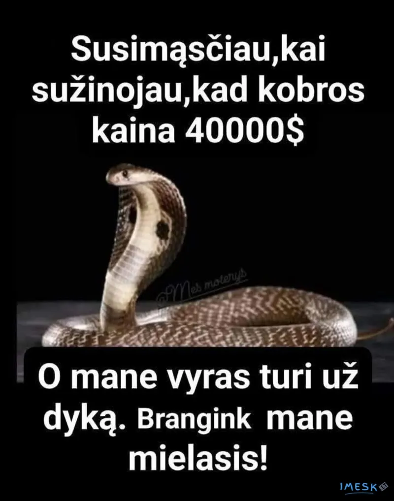 Jos kainą 40.000